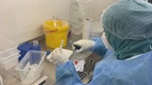Túnez investiga una posible cepa local del coronavirus