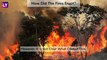 Amazon Forest Fires: Know All About The Devastating Situation Of The Worlds Largest Rainforest