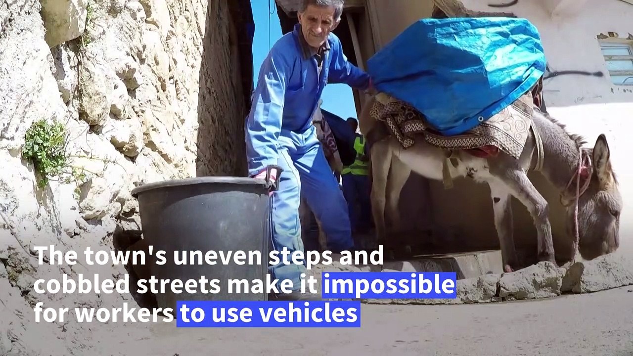 A rubbish job for donkeys in Iraqi-Kurdish town