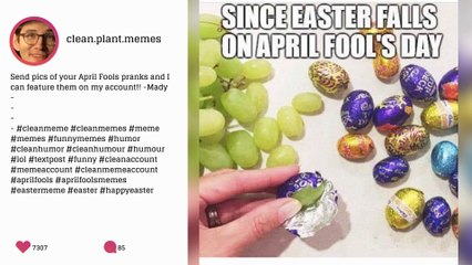 April Fools Day 2019 Memes: This April Fool Memes Will Make Your Day If You Love to Prank People