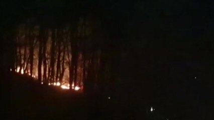 경기도 성남 불곡산 등산로 불...20분 만에 꺼져 / YTN