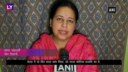 West Bengal: Midnapore में मिला दो सिर वाला सांप