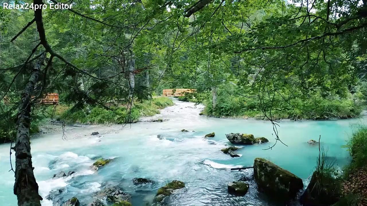 Relaxing River Sounds - Gentle River, Nature Sounds, Singing Birds Ambience 1 hours