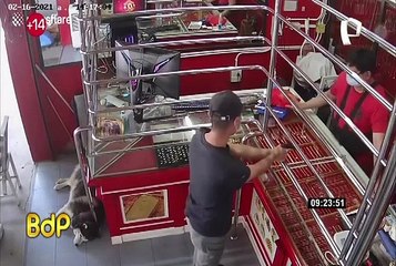 Tailandia: dueño de joyería simula asalto y esta fue la reacción de su perro guardián
