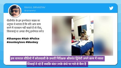 Viral Video: पुलिसवाले के सिर पर बैठा बंदर बीनने लगा जुएं, वीडियो हुआ वायरल