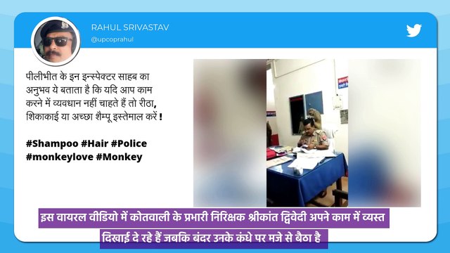 Viral Video: पुलिसवाले के सिर पर बैठा बंदर बीनने लगा जुएं, वीडियो हुआ वायरल