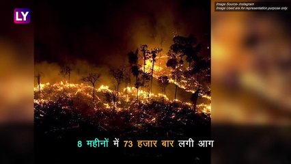 Amazon Rainforest Fire:ब्राजील की राजधानी में दिन में छाया अंधेरा,जानें क्यों खास हैं अमेजन के जंगल