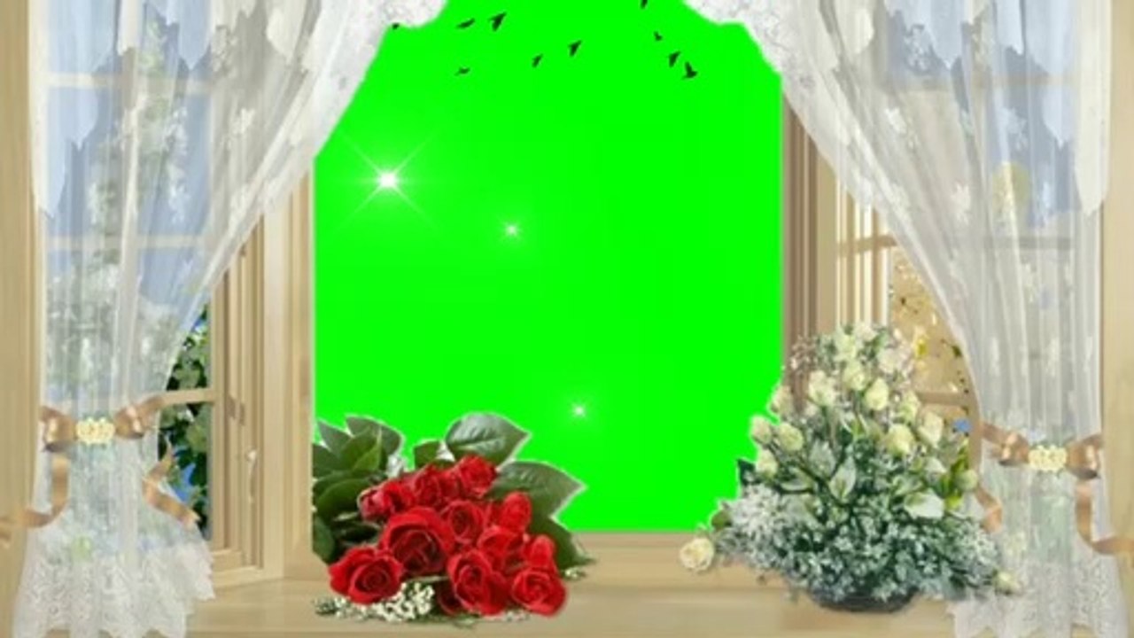 Window green screen status