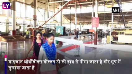 Golden Butterfly Tea: आप भी चखें इस अनोखी चाय का स्वाद क्योंकि इसकी कीमत है 75 हजार रुपये प्रति किलो