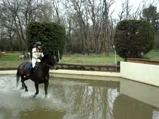 CCE Vedene Dimanche 24 Fevrier 2008