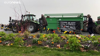 Menus sans viande à la cantine "pour raisons sanitaires": la mesure des Verts à Lyon fait polémique