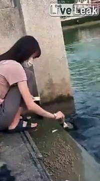 Elle pense nourrir des tortues... raté