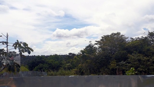 Airbus A330 PR-AIW na aproximação final antes de pousar em Manaus vindo de Campinas