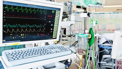 Can Dogs Donate Blood Just Like Humans?