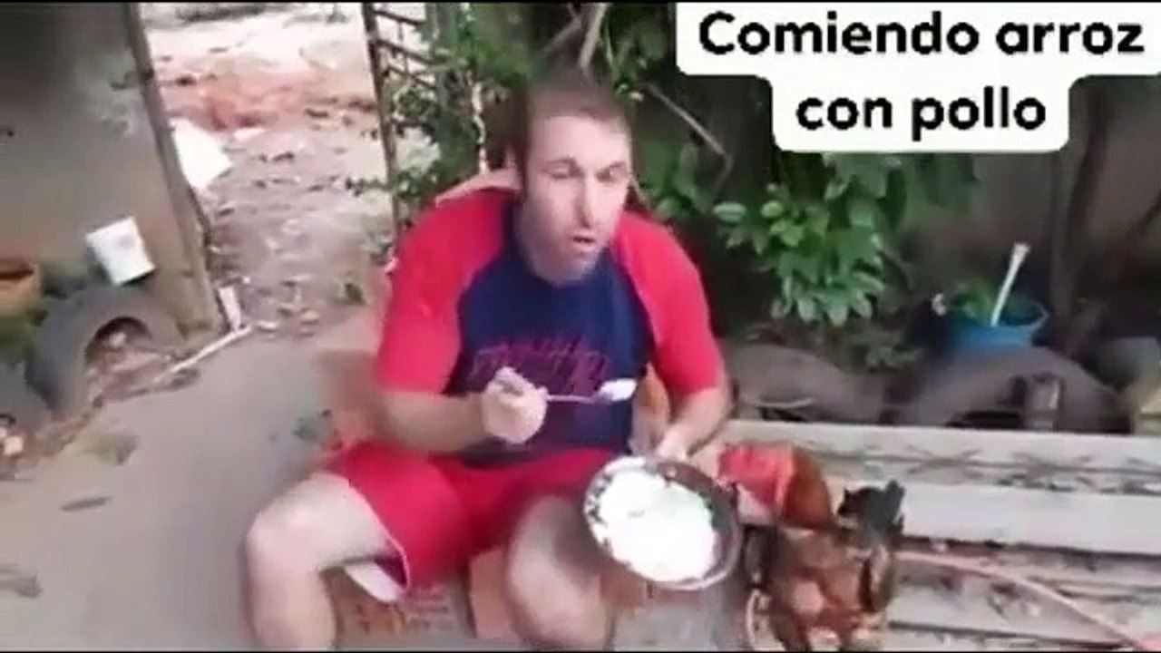 si te ries pierdes nivel dios, videos de risa no te rias o pierdes #1