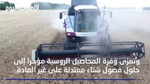 بالفيديو..  حصادات ذاتية التحكم تسجل رقما قياسيا في حقول القمح بروسيا
