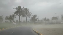 بالفيديو.. سقوط أمطار على مناطق متفرقة من الدولة