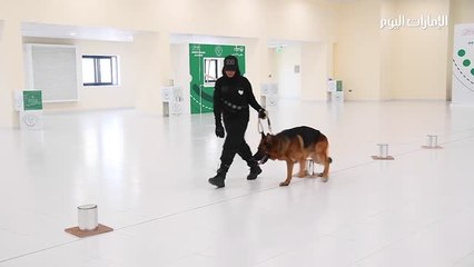 بالفيديو: 3 مواطنات طَوَّعن الكلاب البوليسية للكشف عن الجريمة