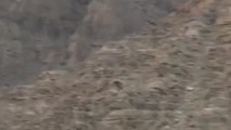 بالفيديو.. انقاذ 570 شخصاً عبر الطائرات المروحية كانوا عالقين في الجبال برأس الخيمة