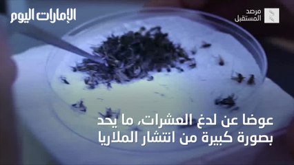 بالفيديو.. تعرف إلى "إيفيرمكتين" قاتل الملاريا الجديد