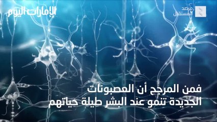 بالفيديو.. تحليلات تكشف نمو الخلايا العصبية بالدماغ طوال الحياة