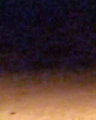 بالفيديو.. "خدمات رأس الخيمة" تحقق في إلقاء عامل نظافة لمخلفات على شاطئ "شعم"