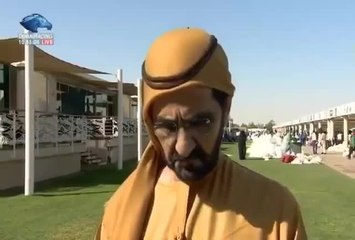 محمد بن راشد: تجاوزات وخــلل في اللجنة المسؤولة عن سباق الوثبة للخيول