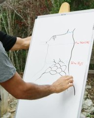 «سينوتي».. حكاية كهوف ساحرة غاص فيها حمدان بن محمد