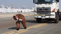 بالفيديو.. مواطن يجر بشعره شاحنة تزن 10380 كيلوغرام ويدخل 