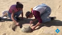 بالفيديو.. العثور  على قطعة أثرية يعود تاريخها لـ 3 آلاف سنة  في دبي