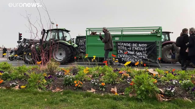 В Лионе фермеры протестуют против школьного меню без мяса