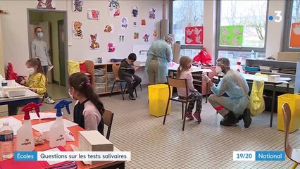 Covid-19 : début de la campagne de tests salivaires dans les écoles