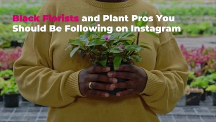 Black Florists and Plant Pros You Should Be Following on Instagram
