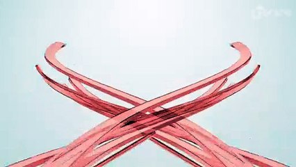 Câmera de segurança flagra caminhão destruindo ponto de ônibus