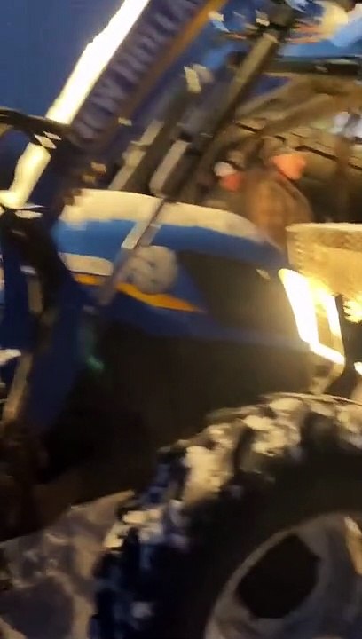 Saving Cows After Snow Causes Roof to Collapse