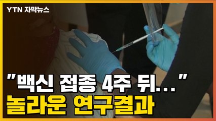 [자막뉴스] "코로나19 백신 접종 4주 뒤..." 놀라운 연구결과 / YTN