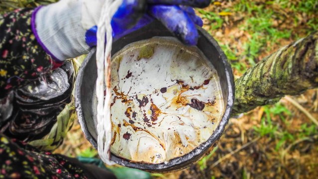 Sơn mài is a costly form of lacquer painting in Vietnam. Here's what makes these paintings so expensive.