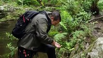 A Leech Latches on to Bear Grylls  Animals on the Loose A You vs WIld Movie  Netflix