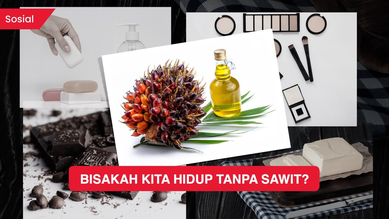 Ada di Tiap Kebutuhan Manusia, Bisakah Kita Hidup Tanpa Sawit?