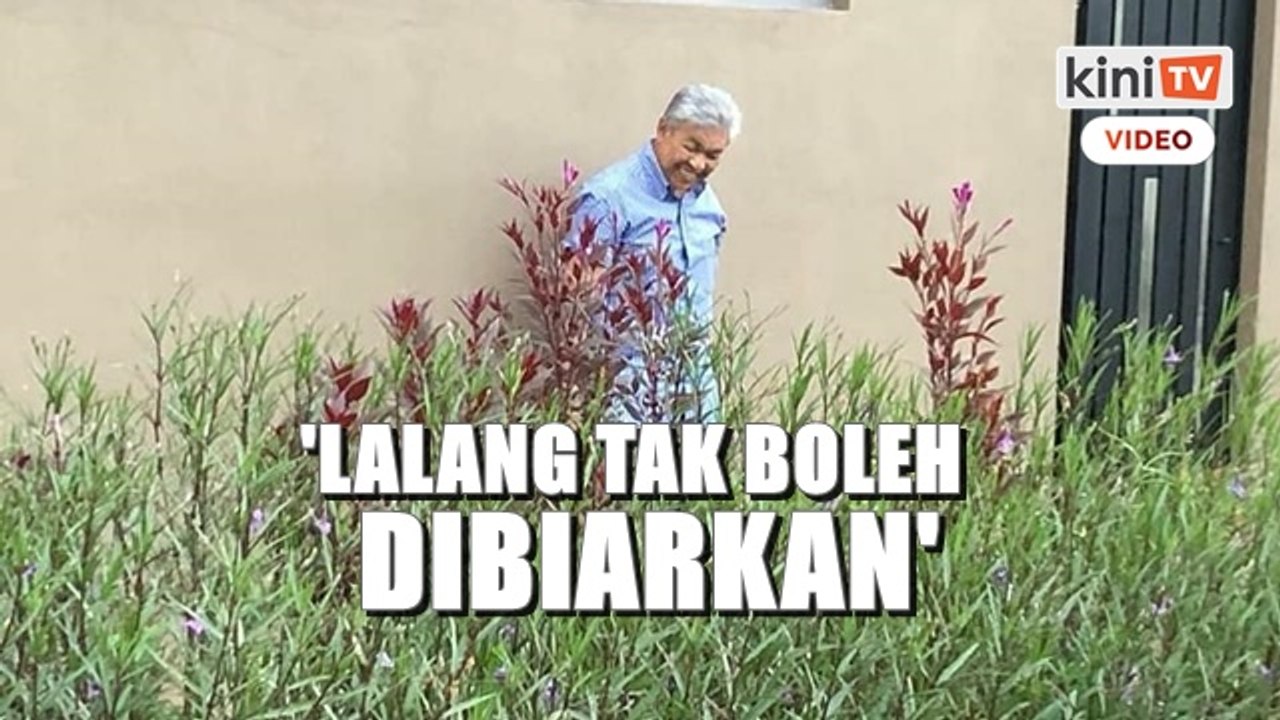 'Lalang tak boleh dibiarkan lama-lama' - Zahid sindir siapa_