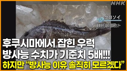 후쿠시마에서 잡힌 우럭 방사능 수치가 기준치 5배!!! 하지만 “방사능 이유 솔직히 모르겠다”
