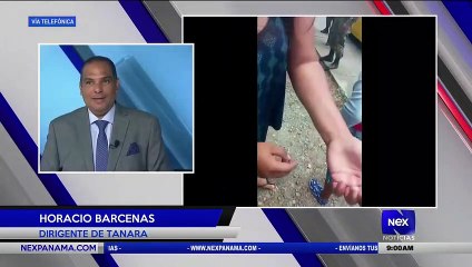 下载视频: Entrevista a Horacio Barcenas, sobre residentes oprimidos por unidades del Senafront en Tanara - Nex Noticias