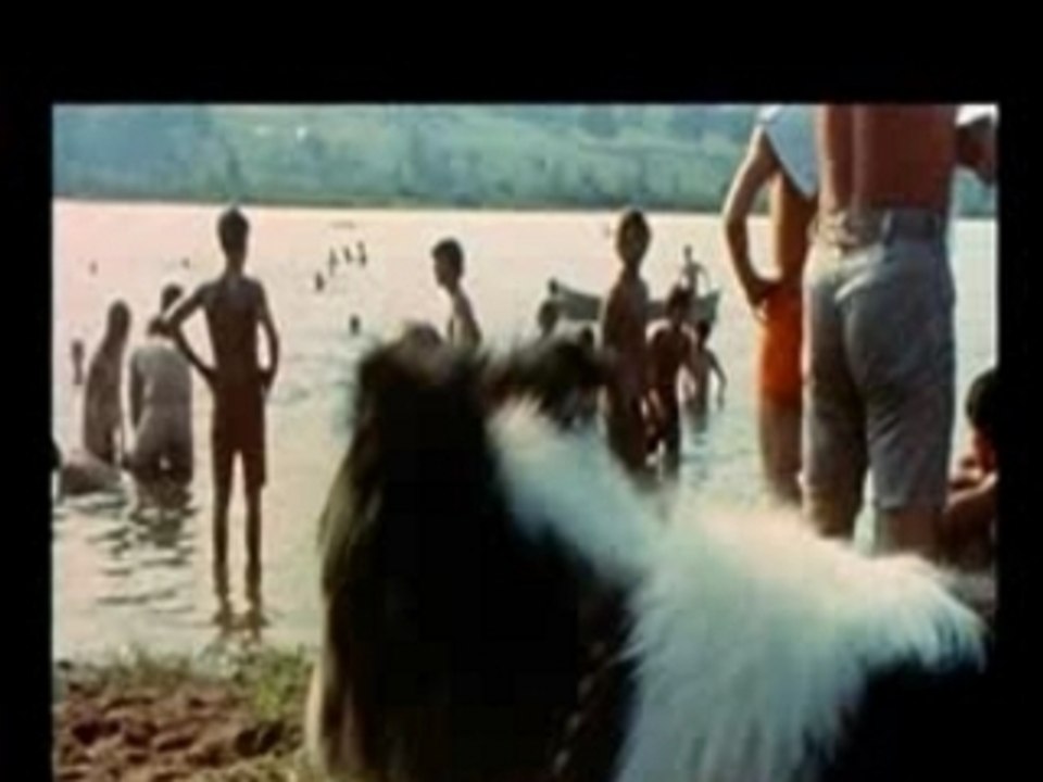 Carlos Santana - Live In Woodstock