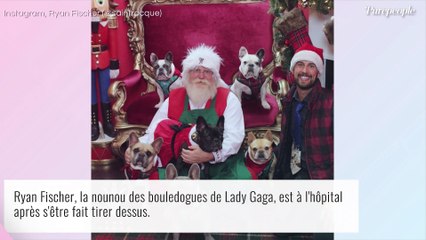 Lady Gaga - Son dogsitter, victime d'une fusillade, sort du silence : "J'ai vraiment frôlé le pire"