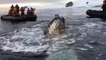 People Witness Whale Up Close During a Cruise With Experts In Antarctica