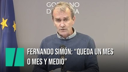 Fernando Simón: "Es un esfuerzo pequeño lo que nos queda, puede que un mes o mes y medio"