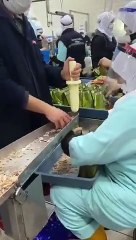 Ton balıklarının paketlenme görüntüleri tepki çekti