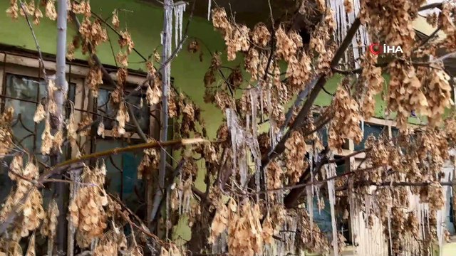 Ağrı dondurucu soğuklara teslim oldu