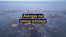 Alergia na smog istnieje
