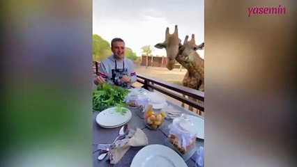 CZN Burak bu kez sevimli arkadaşlarını elleriyle doyurdu!